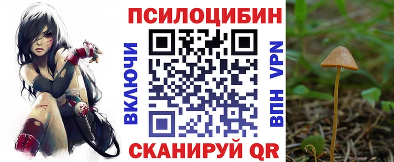 Галлюциногенные грибы Magic Shrooms  кракен ССЫЛКА  Сурск 